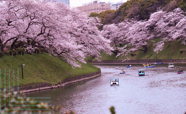 japan travel guide