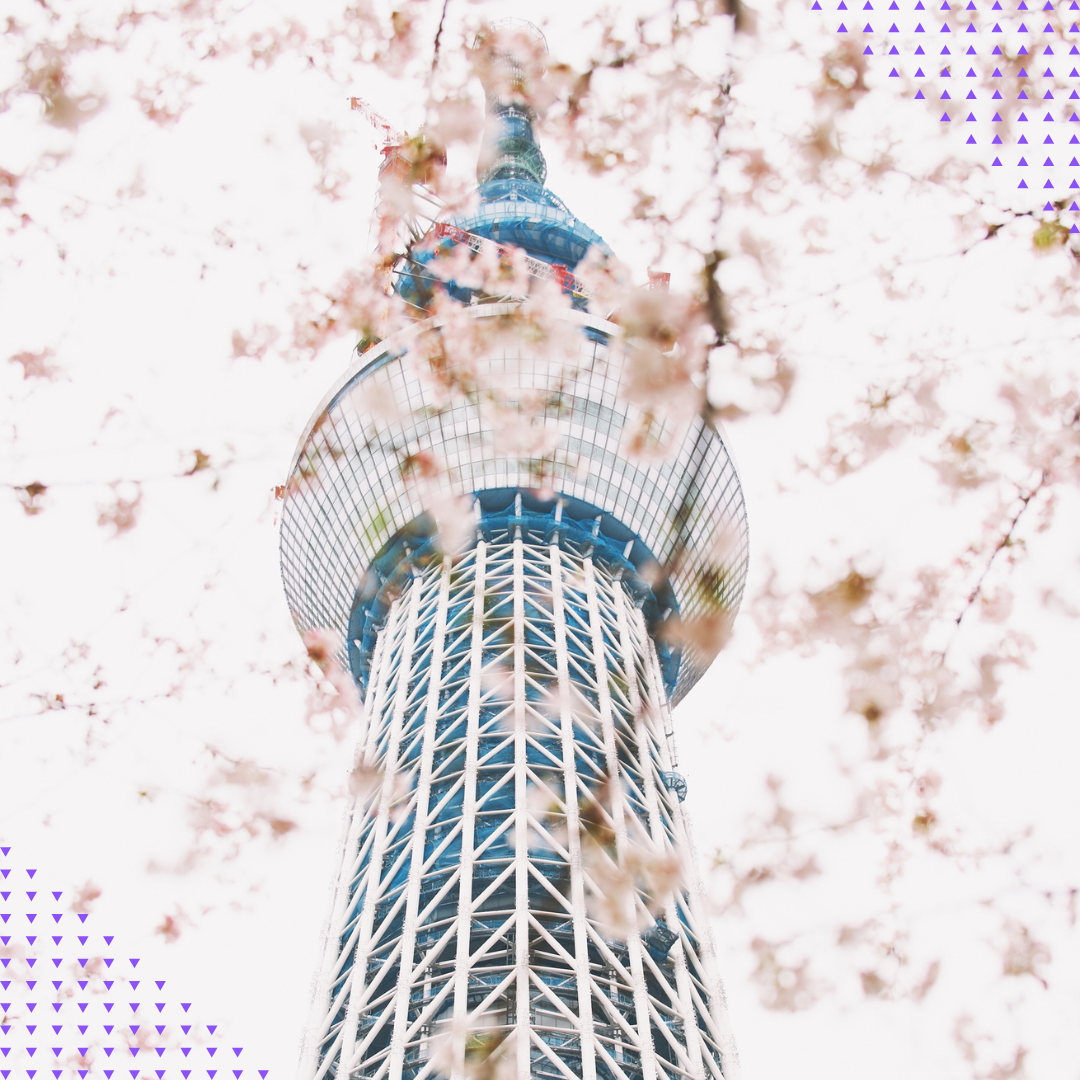 tokyo travel guide