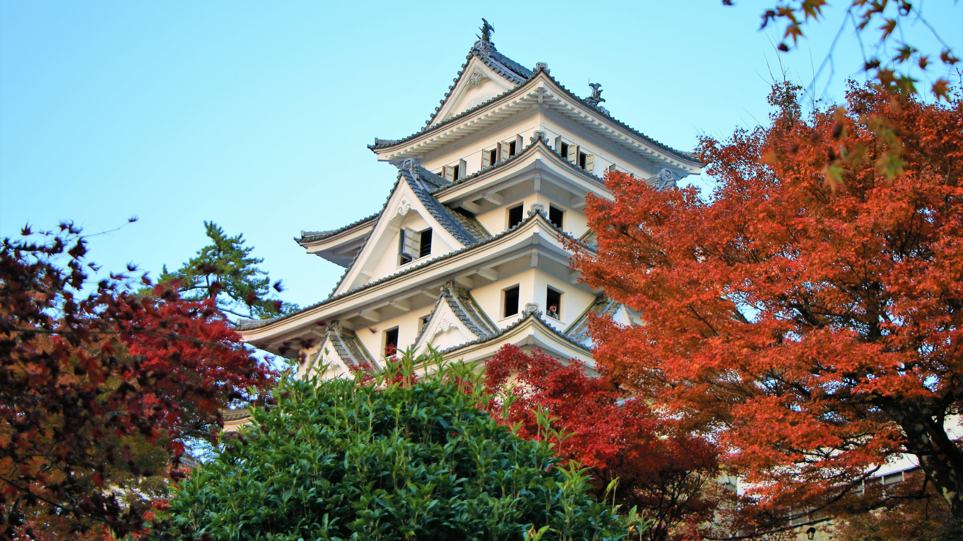 Gujo Hachiman Clean Waterways and Castle Town
