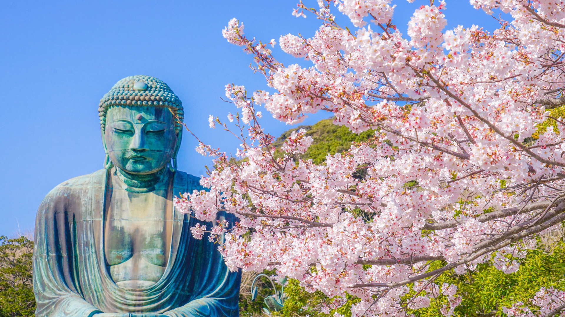 Great Buddha of Kamakura Kotoku-in Temple