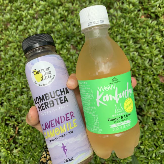 kombucha japan